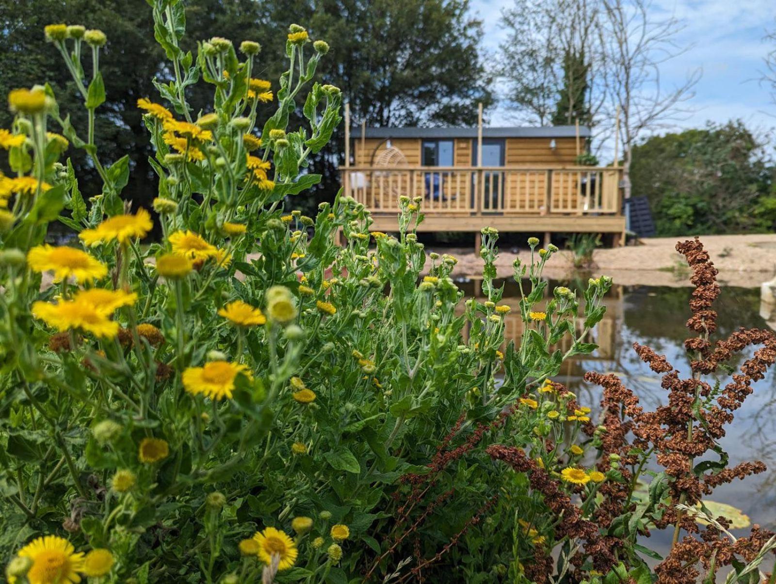 Rusty Duck Retreat Shepherds Hut Shedfield Екстер'єр фото